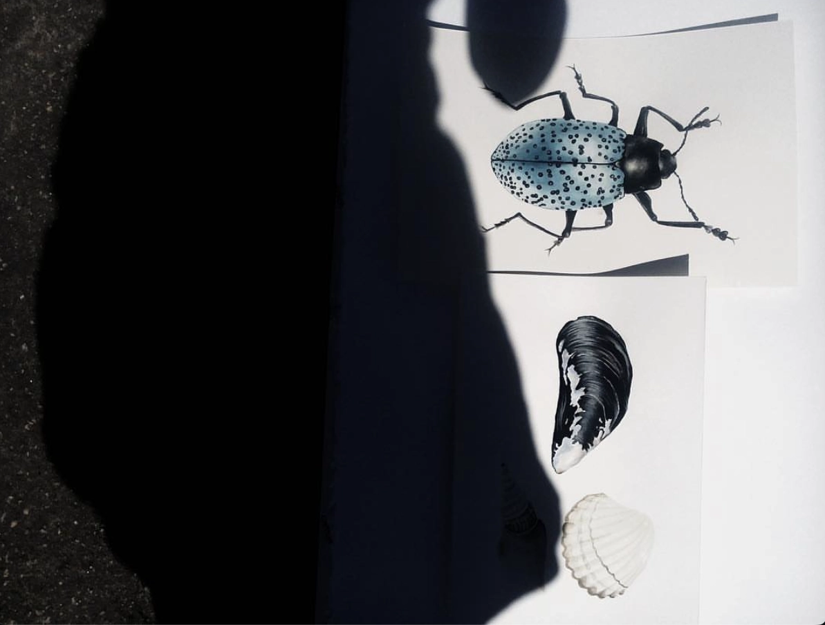 Still a Studio - Multidisciplinary Creative Studio